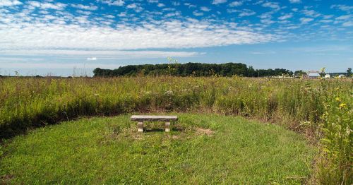A solitary bench sits in a grassy field under a blue sky with scattered clouds, surrounded by wildflowers and trees.