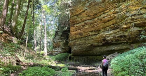 A person stands in a lush forest, gazing up at a towering rock formation surrounded by greenery.