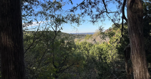 A scenic view of a lush green landscape framed by trees under a clear blue sky.