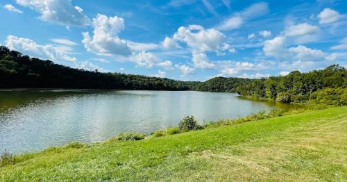 A serene lake surrounded by lush greenery and blue skies with fluffy clouds.