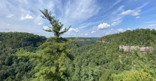 A panoramic view of lush green hills and trees under a blue sky with scattered clouds.