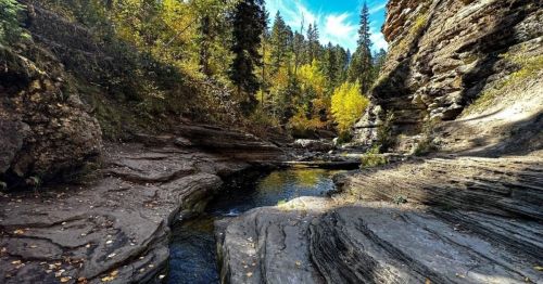 A serene rocky landscape with a clear stream, surrounded by autumn foliage and tall trees under a blue sky.