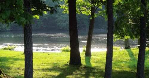A serene river scene framed by trees, with sunlight reflecting on the water and lush green grass.