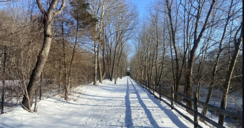A snowy path lined with bare trees, leading into the distance under a clear blue sky.