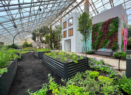 A vibrant indoor garden with raised beds, greenery, and a modern building structure under a glass roof.