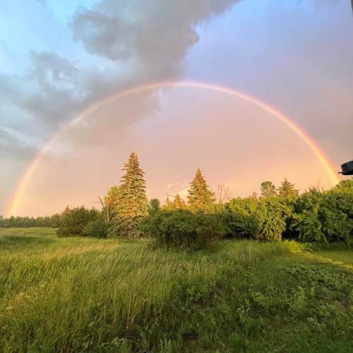 A vibrant rainbow arcs over a lush green field and trees under a cloudy sky.
