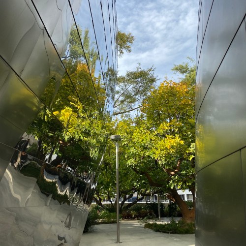 A narrow pathway between reflective walls, leading to a vibrant green tree under a cloudy sky.