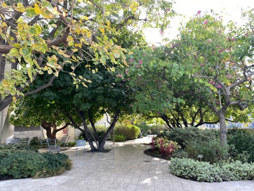 Lush garden path surrounded by trees and colorful flowers, creating a serene outdoor space.