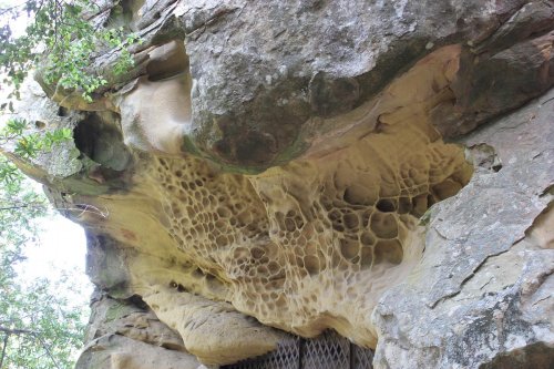 Close-up of a rocky cliff with unique, honeycomb-like formations and greenery above.