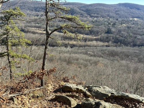 A scenic view of a mountainous landscape with bare trees and rocky outcrops under a clear blue sky.