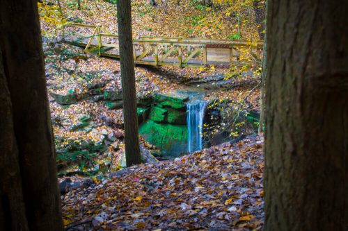 A serene forest scene featuring a small waterfall and a wooden bridge surrounded by autumn leaves.