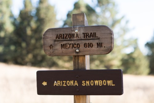 Wooden signpost indicating directions to Arizona Trail (610 miles to Mexico) and Arizona Snowbowl.