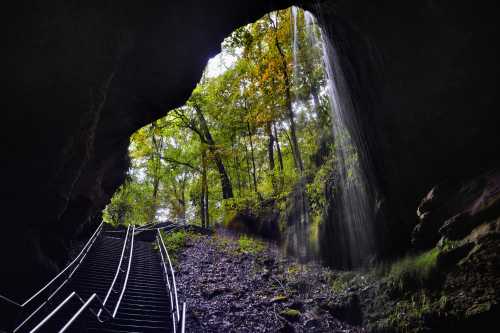 View from inside a cave, showing a staircase leading out to a lush forest and a waterfall in the distance.