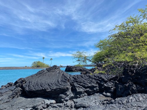 Lava rock formations by a turquoise ocean, with green vegetation and a clear blue sky in the background.