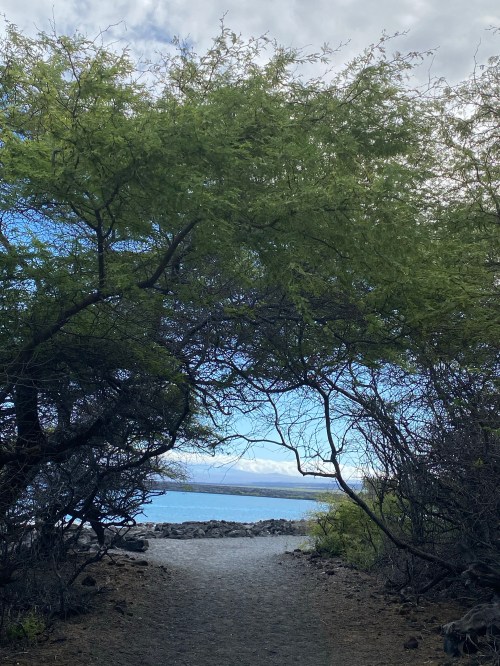 A pathway framed by lush trees leads to a serene body of water under a cloudy sky.