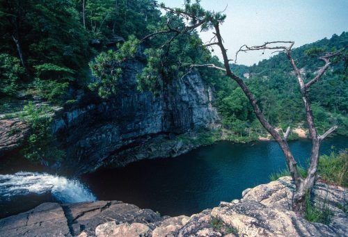 A serene waterfall cascades into a calm pool, surrounded by lush greenery and rocky cliffs.