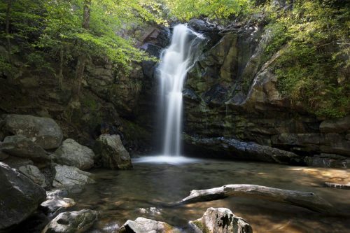 A serene waterfall cascades over rocks into a calm pool, surrounded by lush green trees and natural scenery.