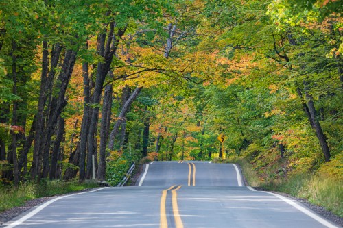 A winding road surrounded by vibrant autumn foliage and lush green trees.