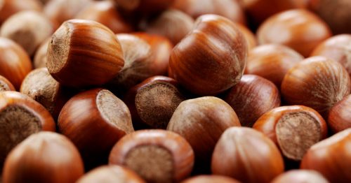 A close-up of a pile of hazelnuts with smooth, brown shells, arranged closely together on a wooden surface.