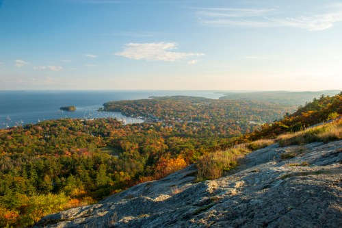 A scenic view of a coastal landscape with colorful autumn foliage, water, and distant hills under a clear sky.