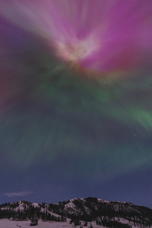 A vibrant aurora borealis lights up the night sky with shades of purple and green over a snowy landscape.