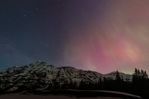 A stunning night sky with stars and auroras above snow-capped mountains and evergreen trees.