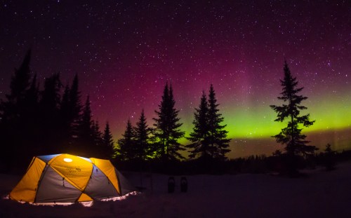 A yellow tent illuminated at night under a vibrant aurora borealis and starry sky, surrounded by snow-covered trees.