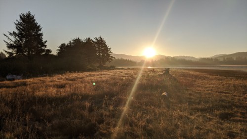A serene landscape at sunrise, featuring tall grass, trees, and distant mountains under a clear sky.