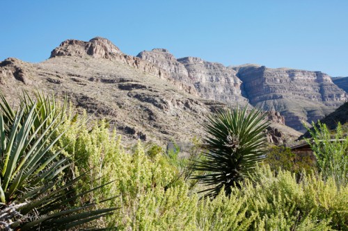 A desert landscape featuring rugged mountains and lush green vegetation under a clear blue sky.