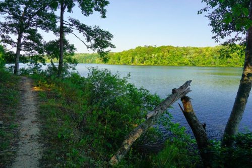 A serene lakeside view with lush greenery and a sandy path along the water's edge under a clear blue sky.