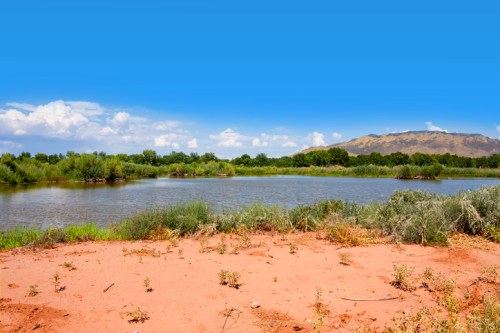 A serene landscape featuring a calm river surrounded by greenery and a sandy shore under a clear blue sky.