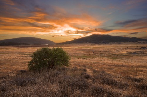 A serene landscape at sunset, featuring rolling hills, a lone tree, and a colorful sky with clouds.