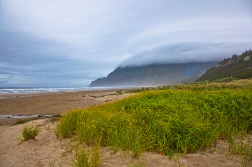 A sandy beach with tall green grass in the foreground, under a cloudy sky and a misty mountain in the background.