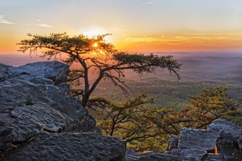 A sunset over a mountainous landscape, with a lone tree silhouetted against the colorful sky.