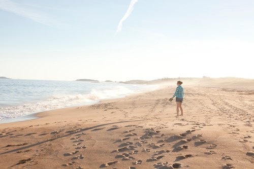 A person in a blue checkered shirt walks along a sandy beach, with gentle waves and a hazy horizon in the background.
