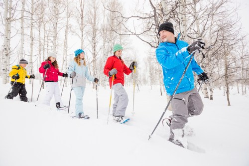 A group of five people snowshoeing through a snowy landscape, surrounded by bare trees in winter attire.