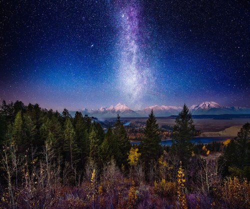 A starry night sky with the Milky Way over a mountain range and forested landscape, reflecting serene natural beauty.
