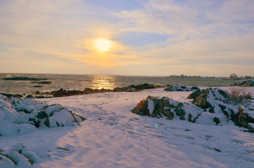 A snowy beach scene at sunset, with rocks in the foreground and a calm sea reflecting the golden light.