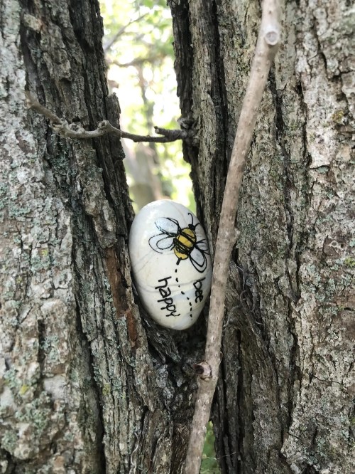 A painted rock with a bee and the words "be happy" nestled in the bark of a tree.
