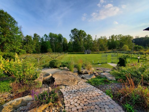 A scenic view of a vineyard with lush greenery, stone pathway, and a clear blue sky in the background.