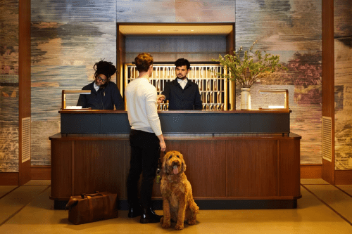 A hotel reception with two staff members at the desk and a guest with a dog waiting. Warm, modern decor surrounds them.