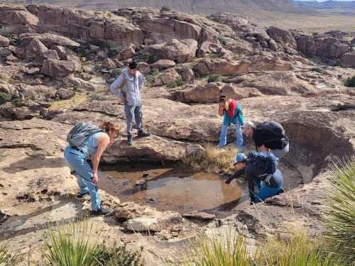 A group of people examining a small water pool in a rocky desert landscape.