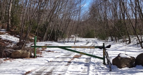 A snow-covered path blocked by a green gate, with a bicycle leaning against it and trees lining the trail.