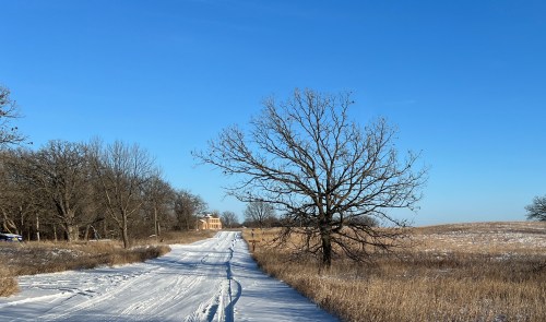 A snowy path leads through a field, with a bare tree on one side and a distant building under a clear blue sky.