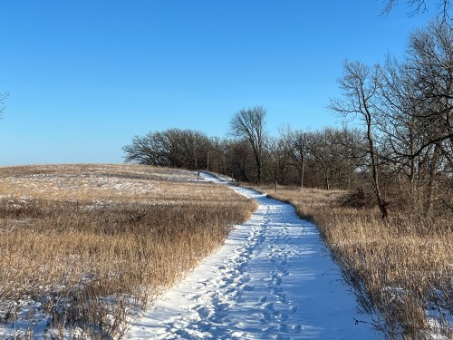 A snowy path winds through a grassy field, leading towards trees under a clear blue sky.