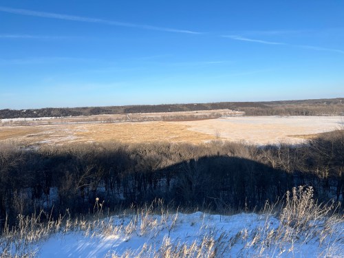 A wide view of a frozen field bordered by trees under a clear blue sky. Snow covers the ground in the foreground.
