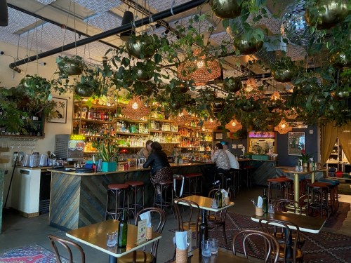 A cozy bar with lush greenery, warm lighting, and patrons enjoying drinks at wooden tables and a long counter.