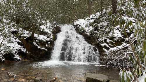 A small waterfall cascades over rocks into a clear pool, surrounded by snow-covered greenery.