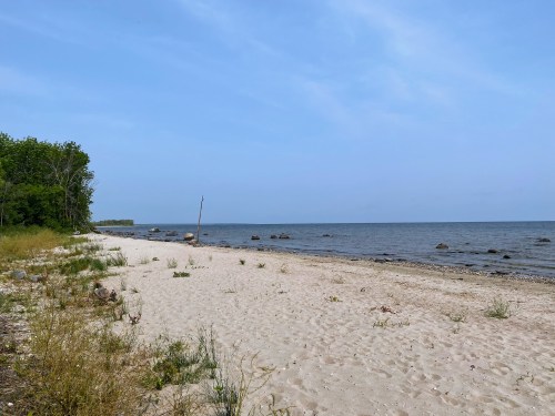 A serene beach scene with sandy shore, gentle waves, and sparse vegetation under a clear blue sky.
