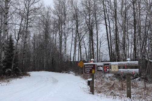 Snow-covered trail sign for Matthew Lourey State Trail, surrounded by bare trees in a winter landscape.